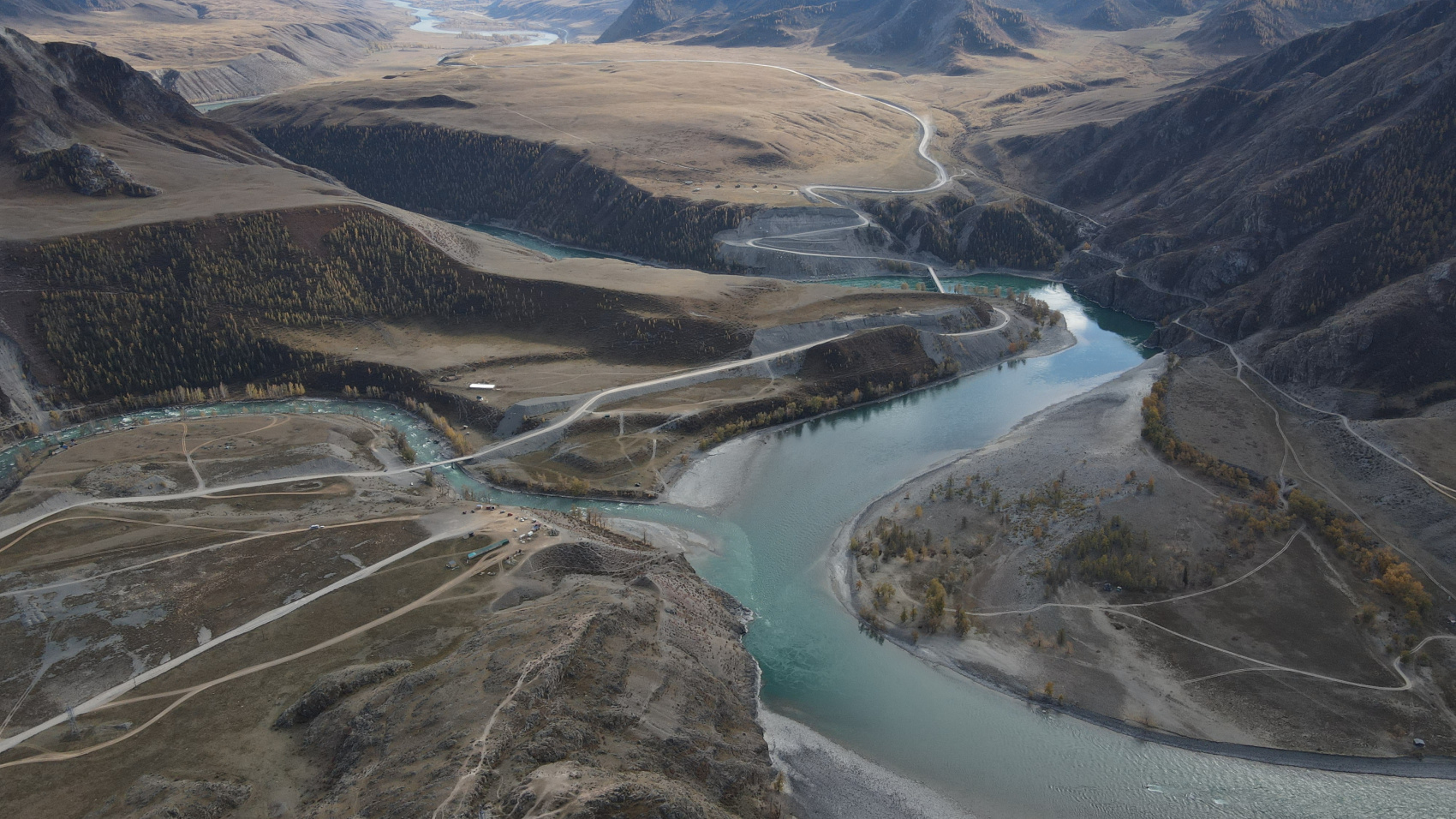 Цветение Маральника (5/17)