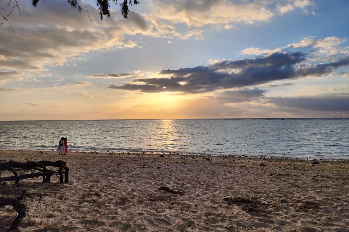 Приключения на Маврикии: от треккингов до китов (5/34)