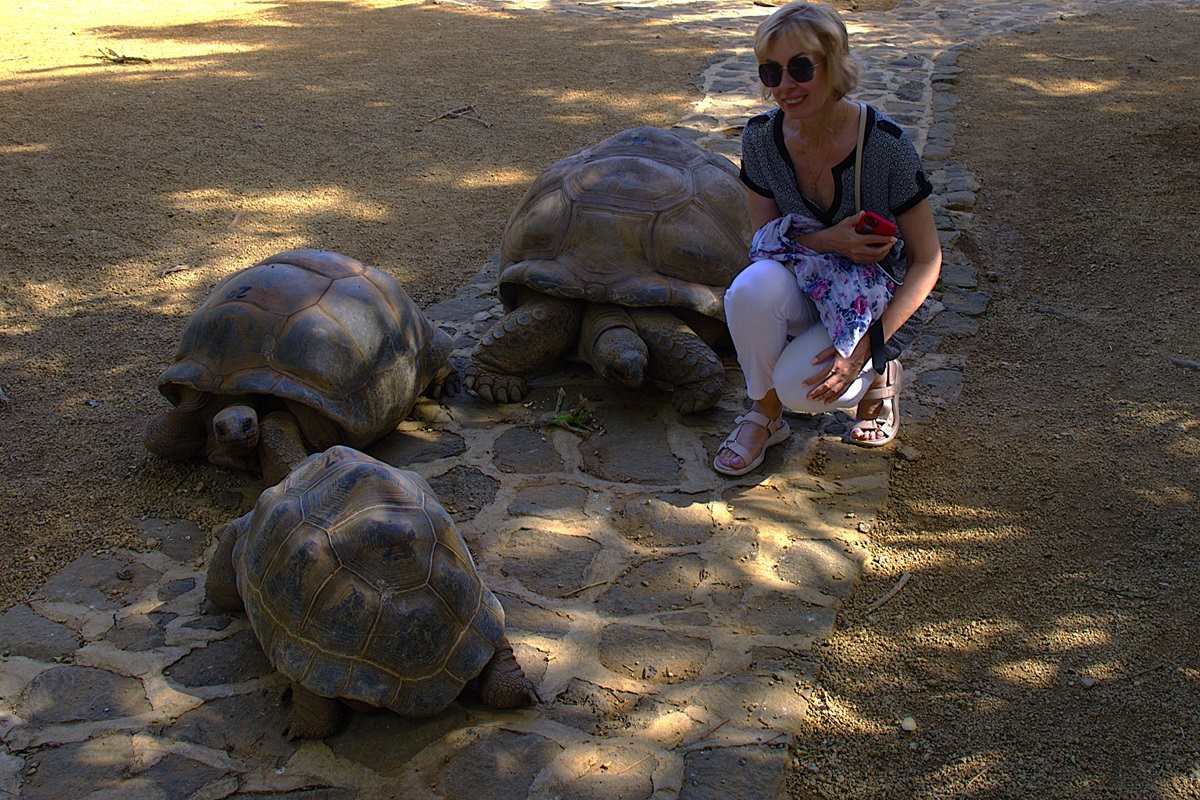 Приключения на Маврикии: от треккингов до китов (9/34)