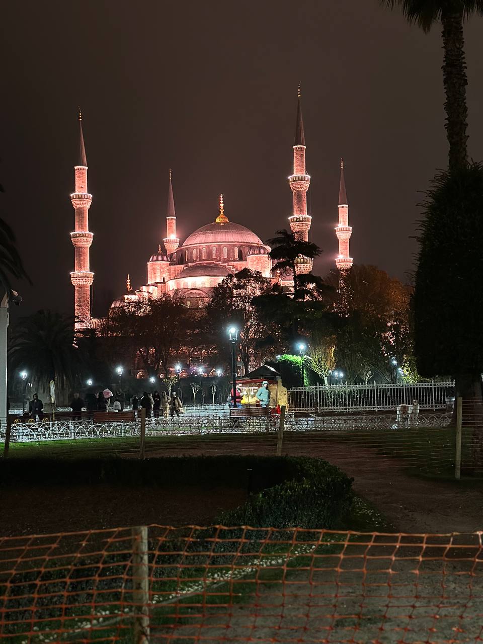 В плену тюльпанов Стамбула+яхта+принцевы острова (8/22)