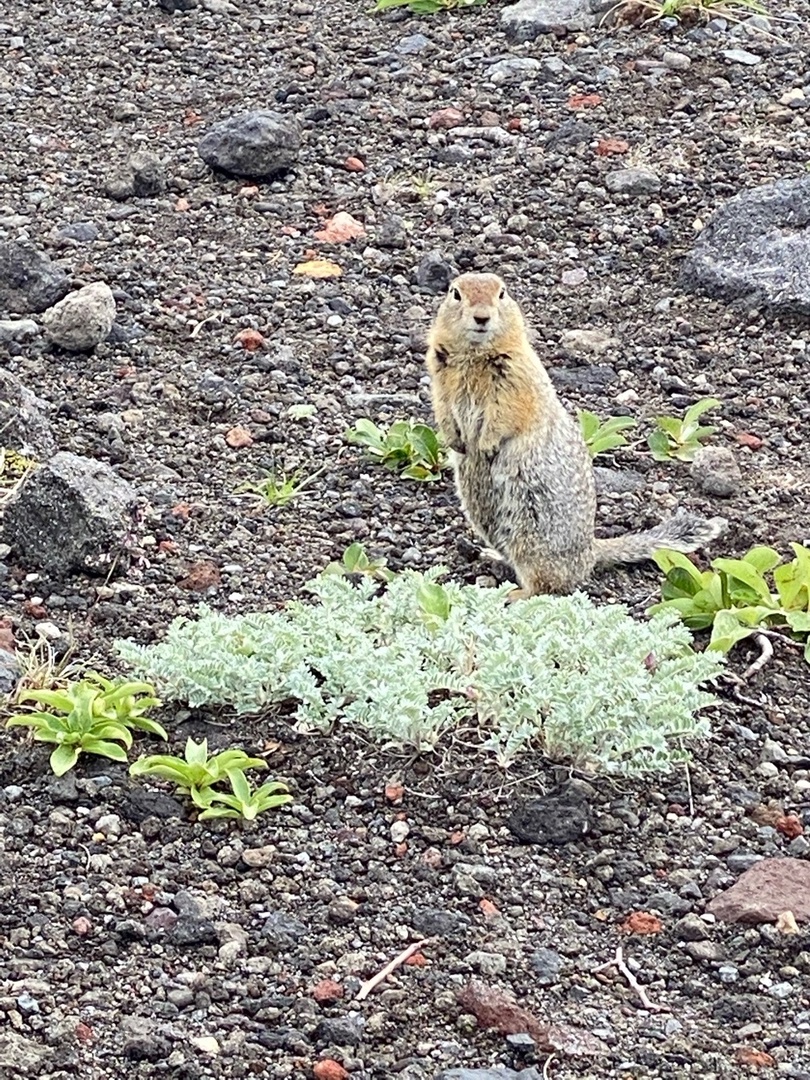 Автопутешествие по Камчатке (32/60)