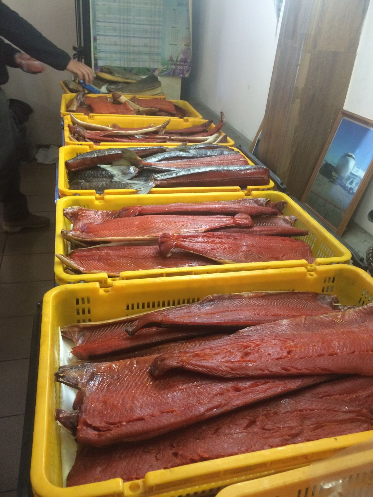 Автопутешествие по Камчатке (20/60)