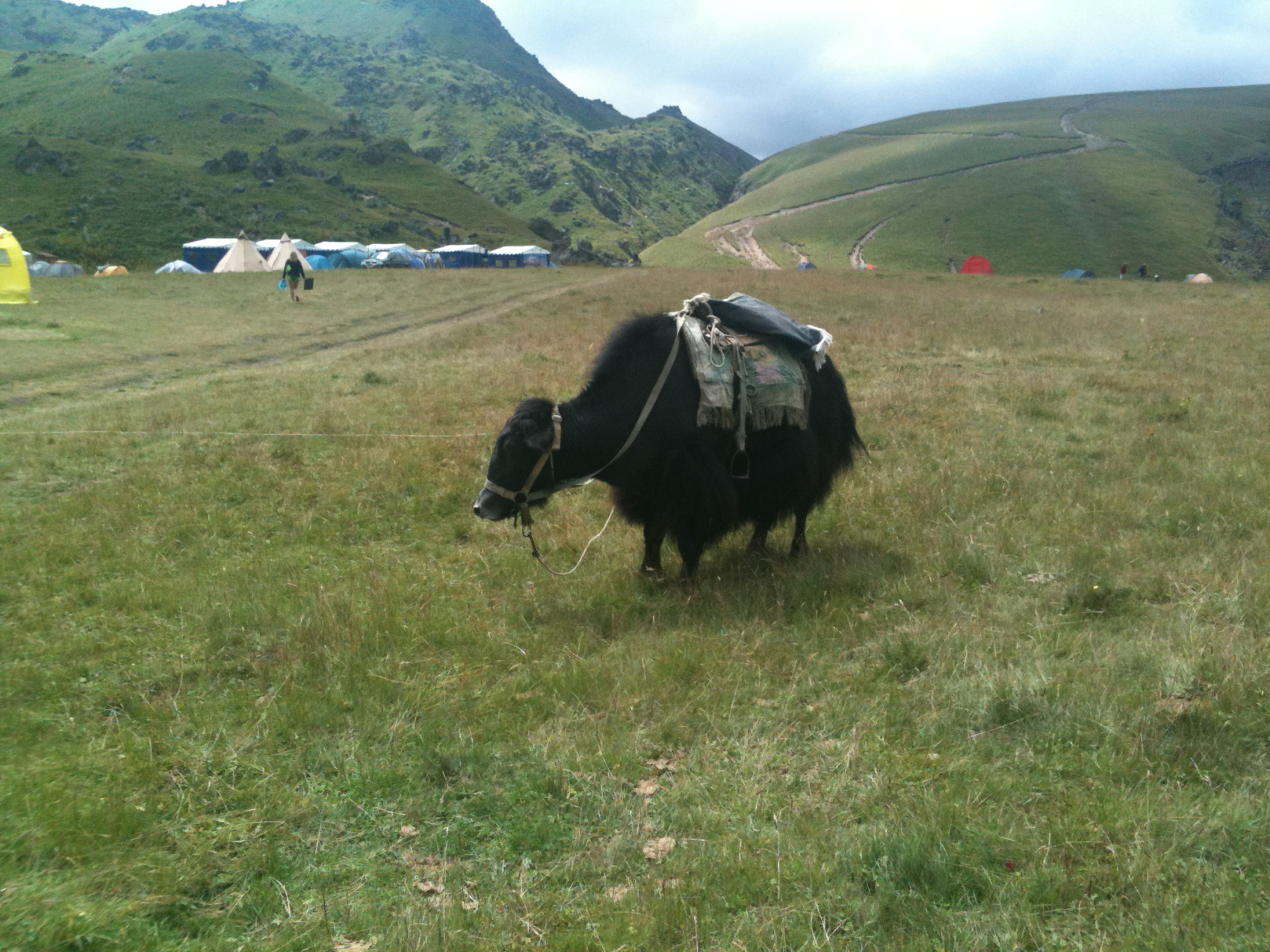 Восхождение на Эльбрус, траверс с юга на север (2/8)