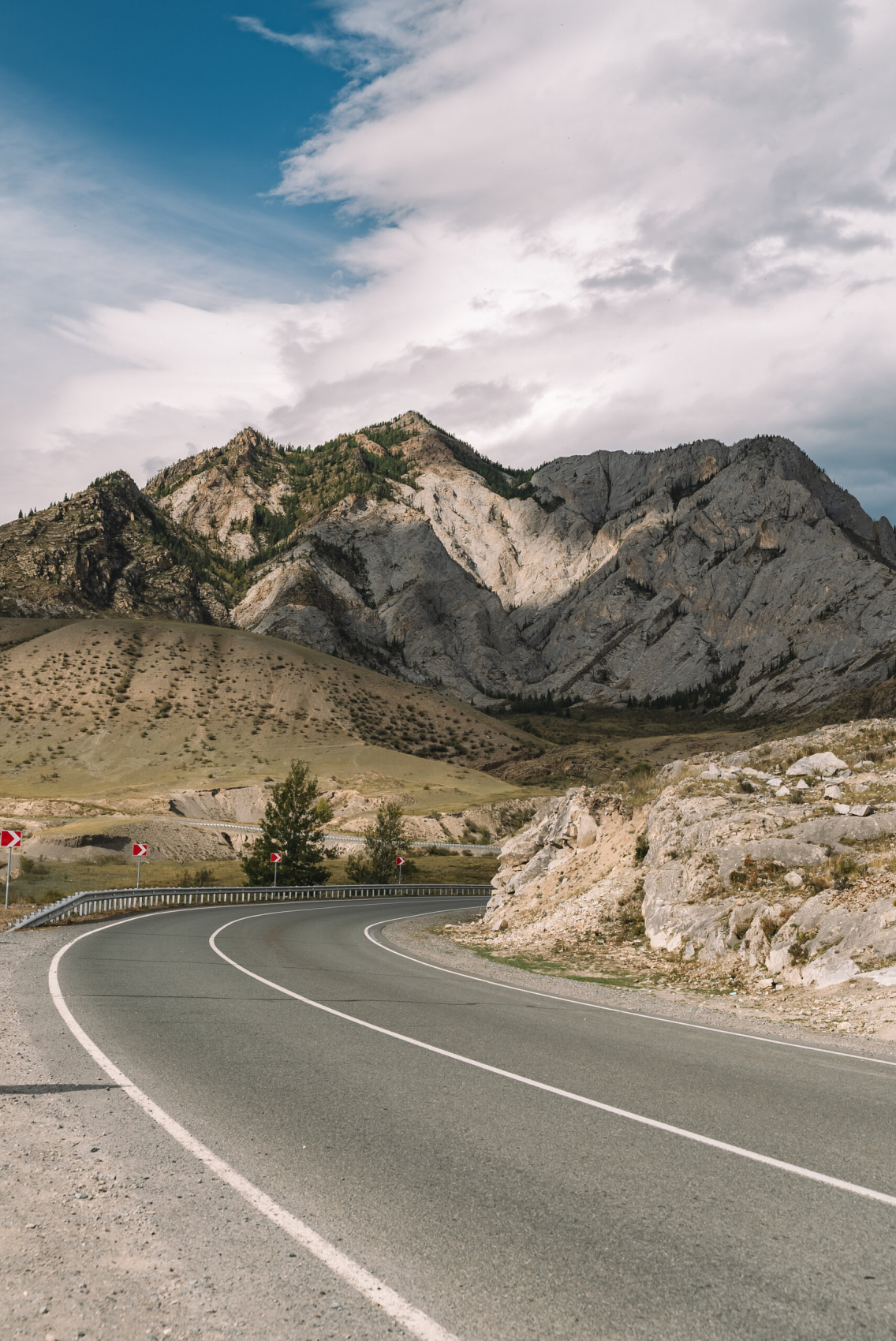 Цветение маральника, 4 дня (11/16)