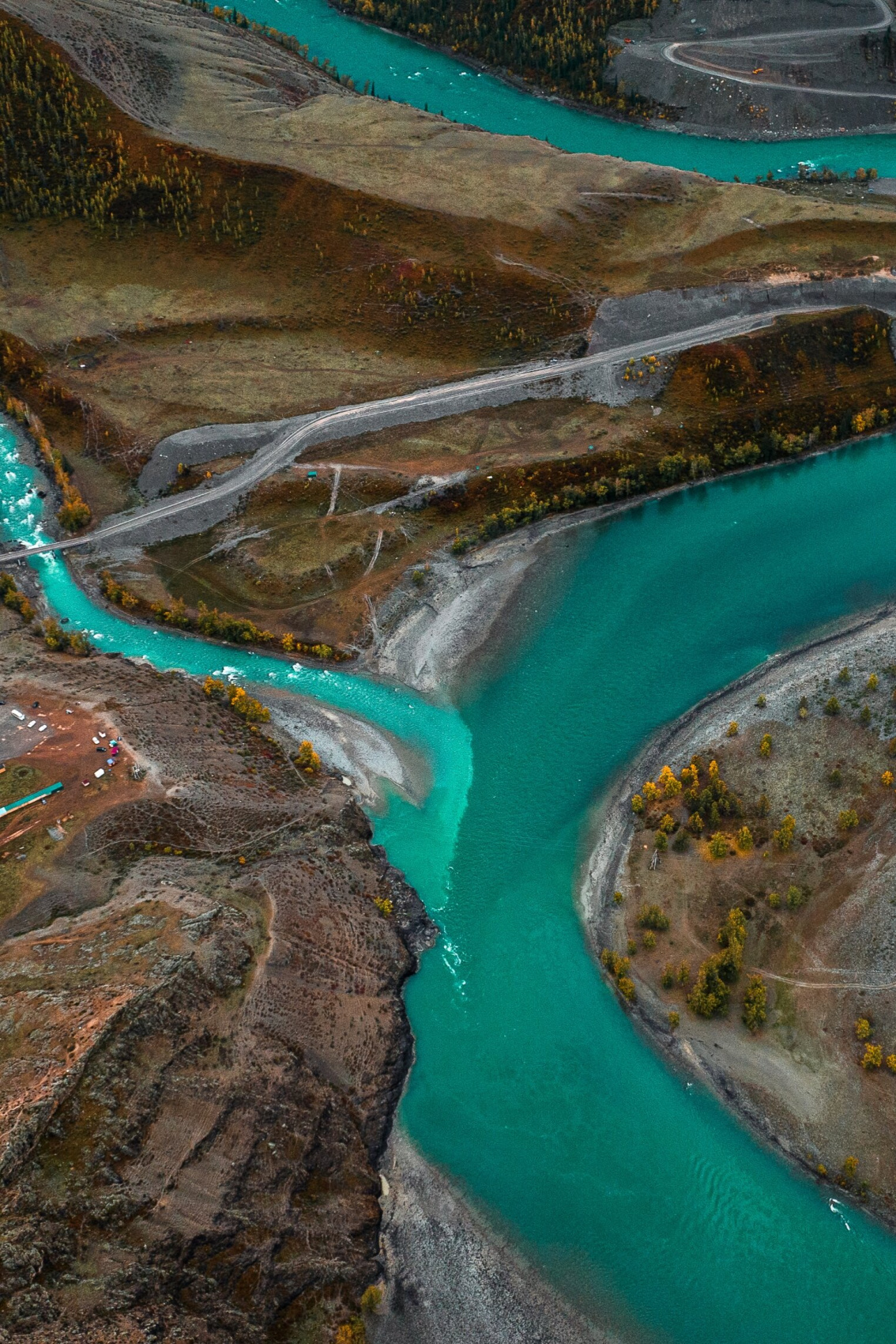 Цветение маральника, 5 дней (16/24)