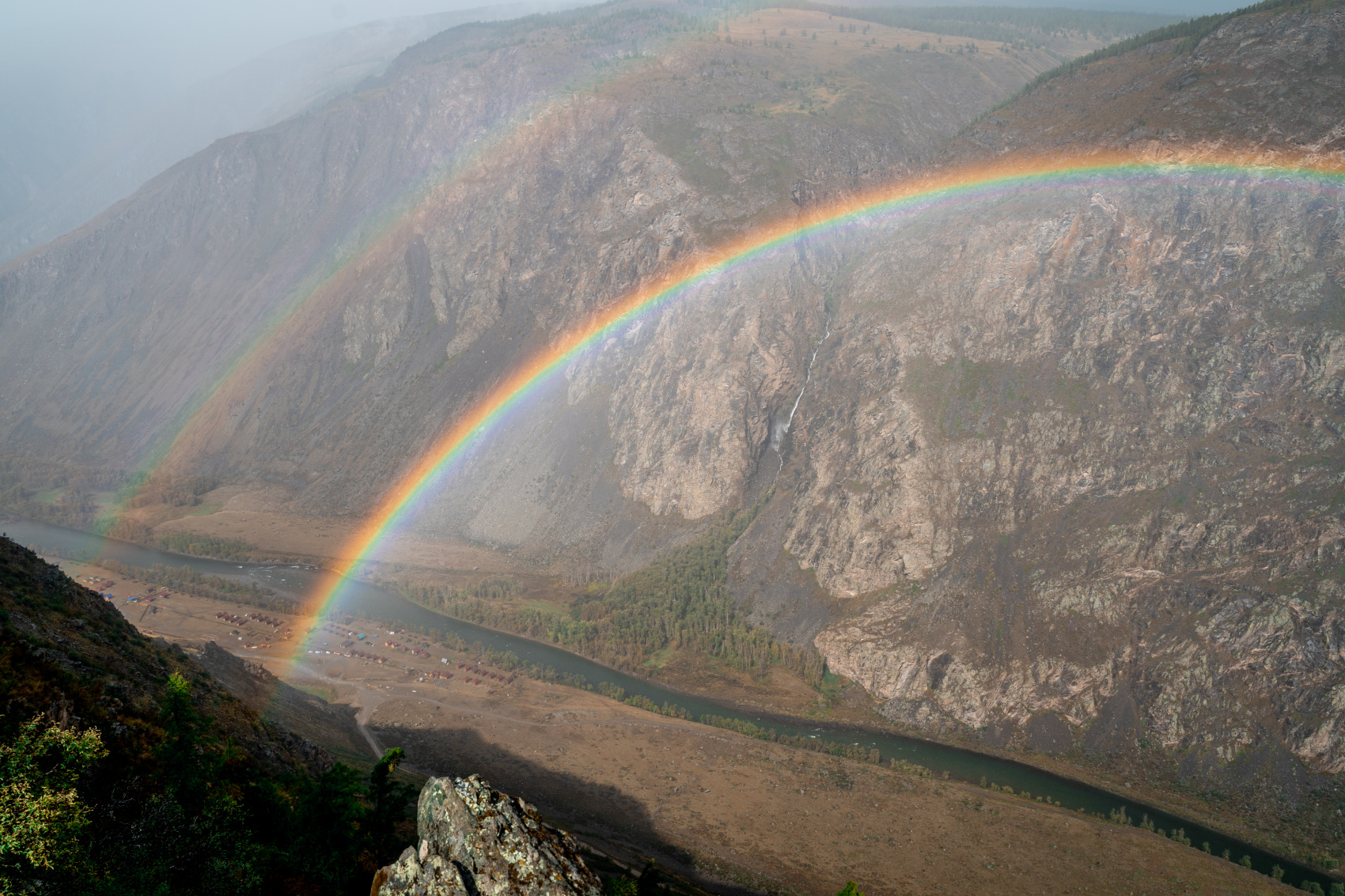 Цветение маральника, 5 дней (12/24)