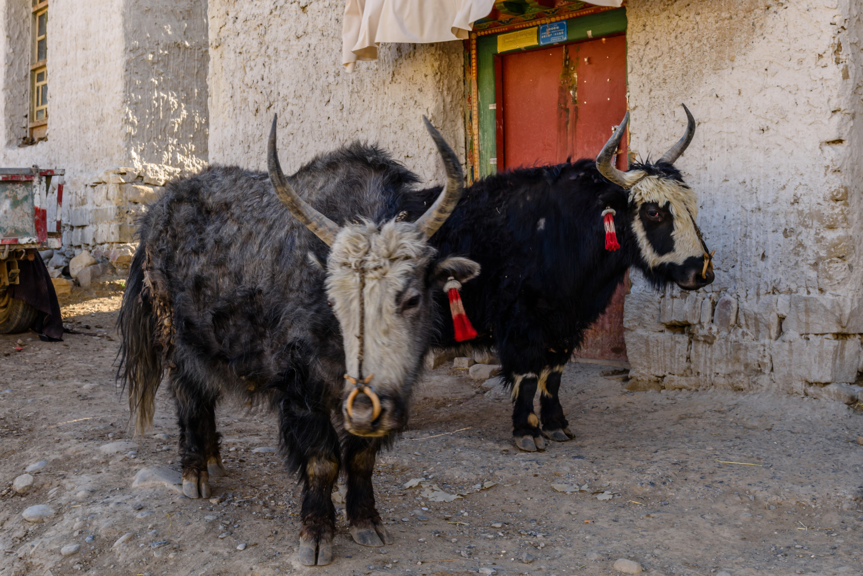 Экспедиция в  верхний Мустанг: запретное и мистическое королевство (19/70)