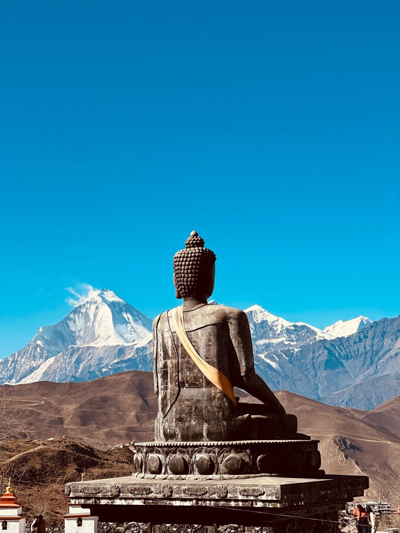 Запретное королевство Верхний Мустанг (19/34)