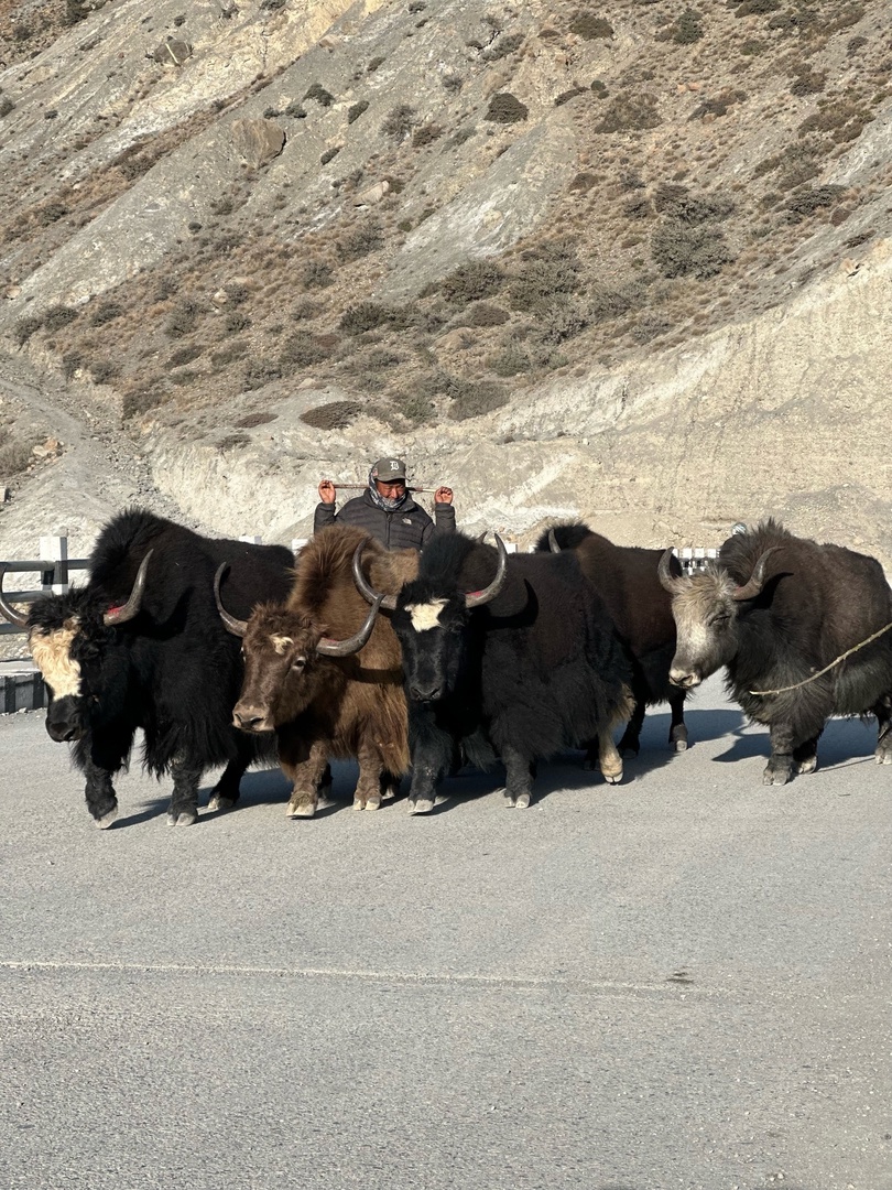 Запретное королевство Верхний Мустанг (24/34)