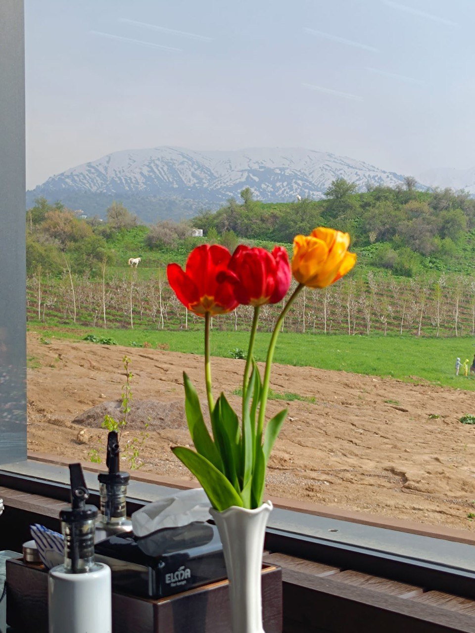 Прошлое в настоящем, природа и история Горы Чимган-Самарканд-Бухара (7/22)