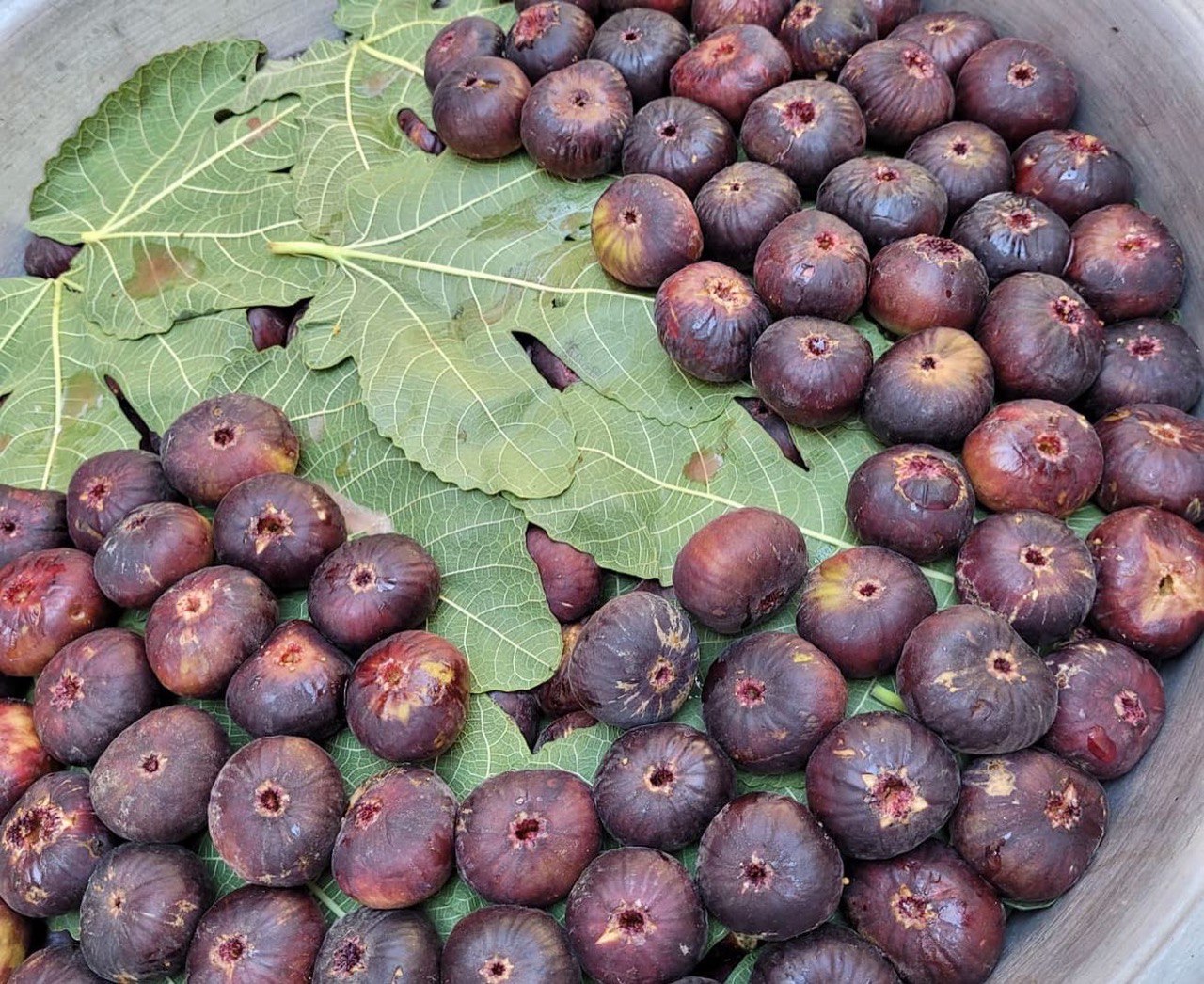 Прошлое в настоящем, природа и история Горы Чимган-Самарканд-Бухара (15/22)