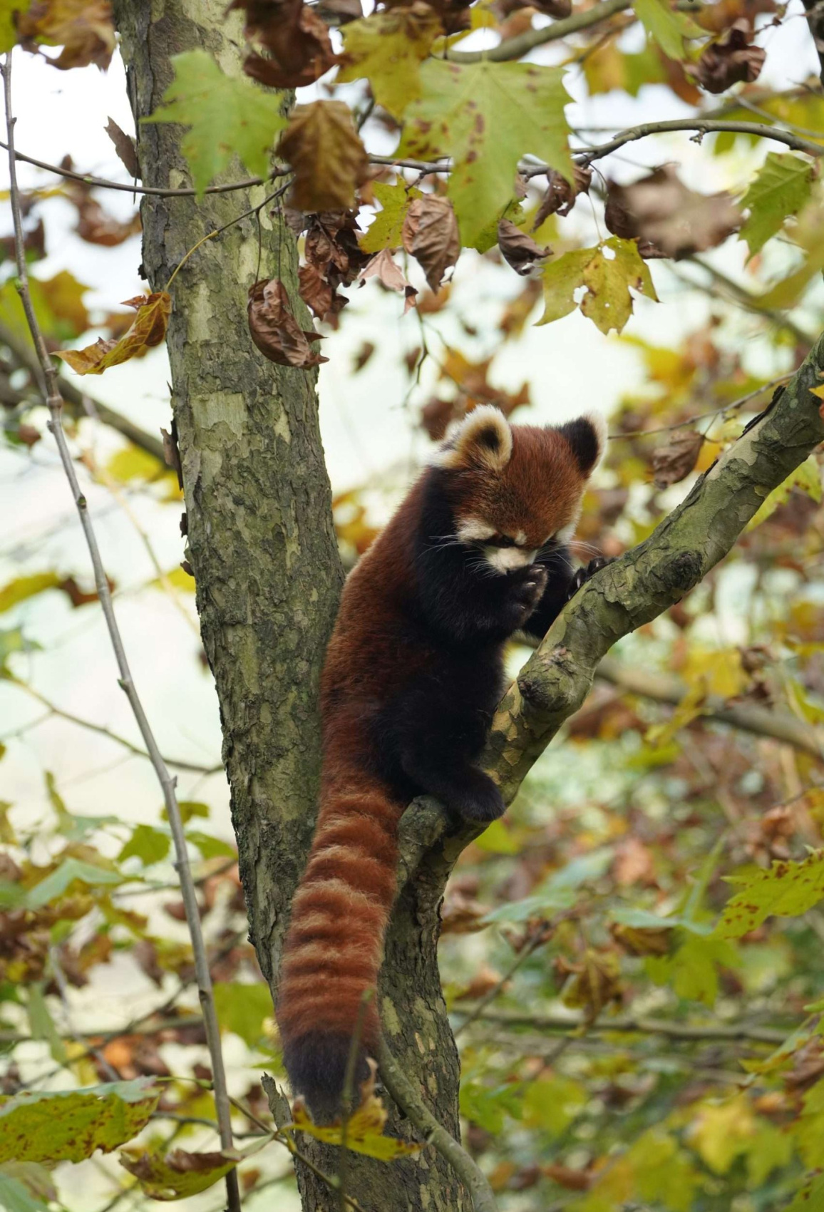 Западный Китай: с севера на юг. (4/175)