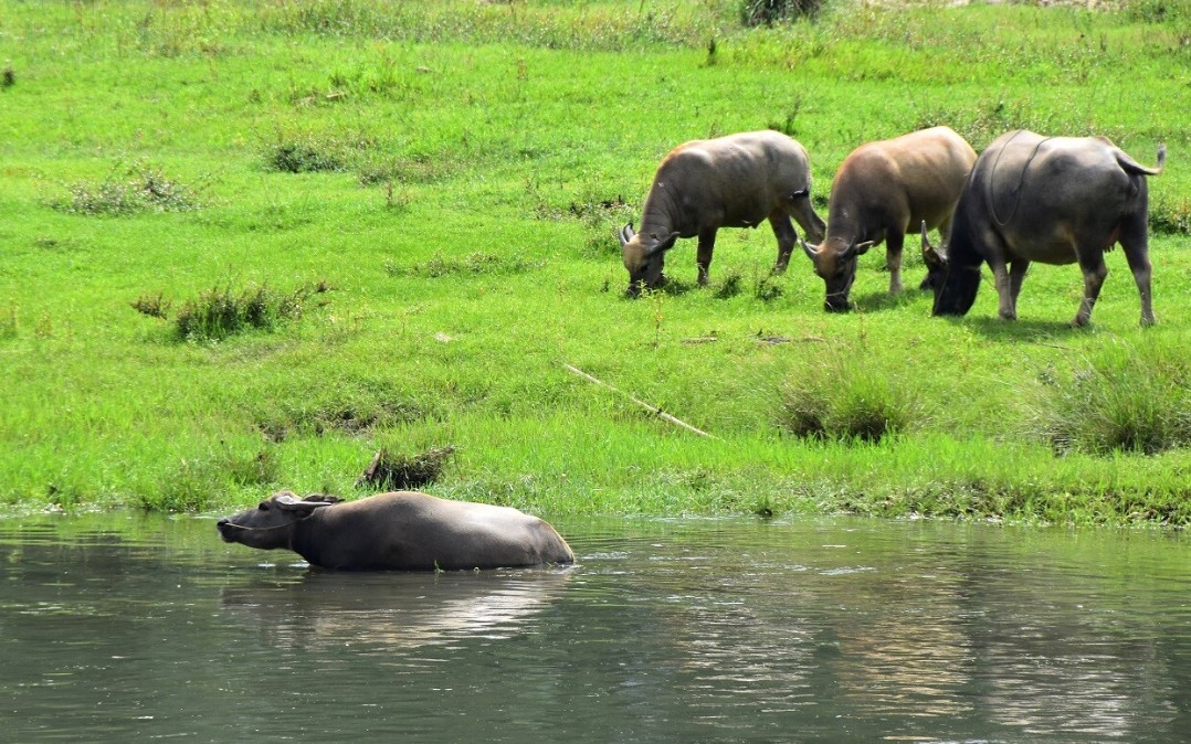 Западный Китай: с севера на юг. (70/175)