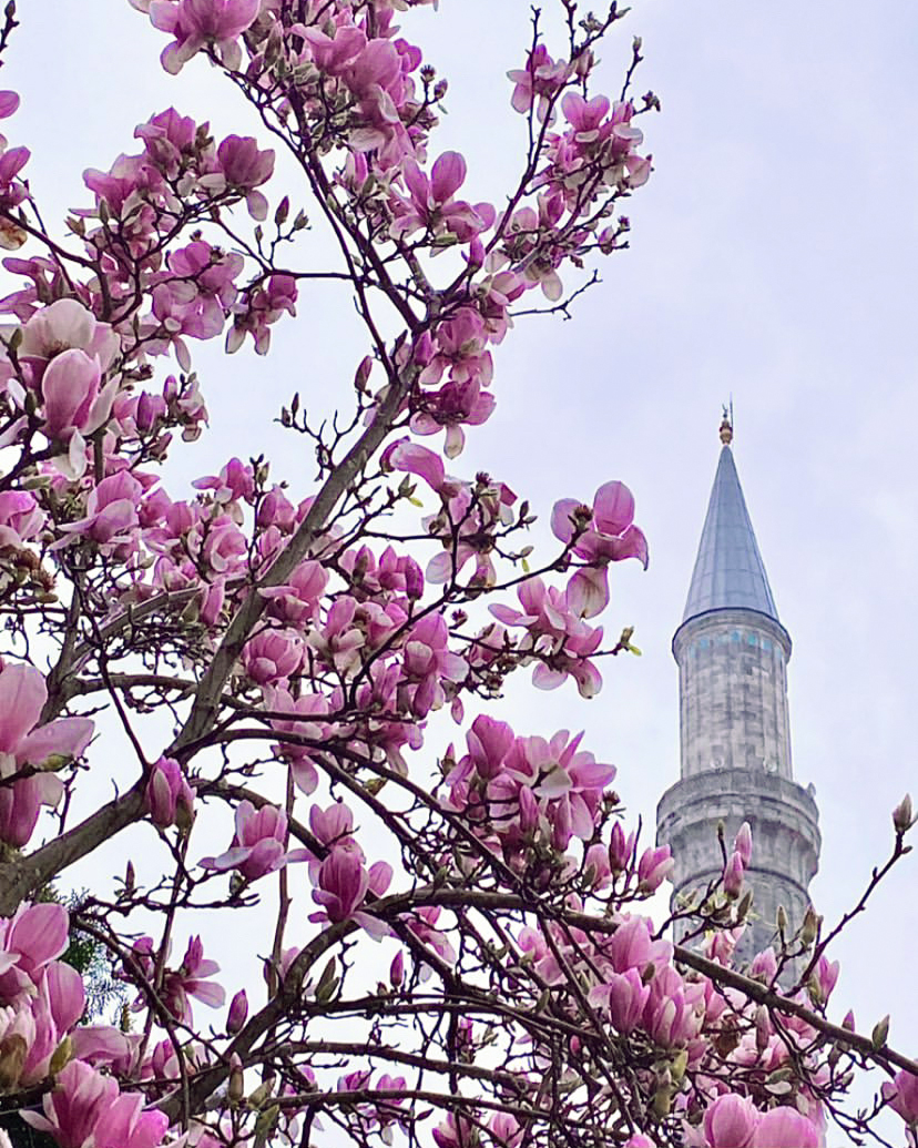 Выходные в Стамбуле! Программа Максимум! Мини-группа до 7 человек! (12/104)