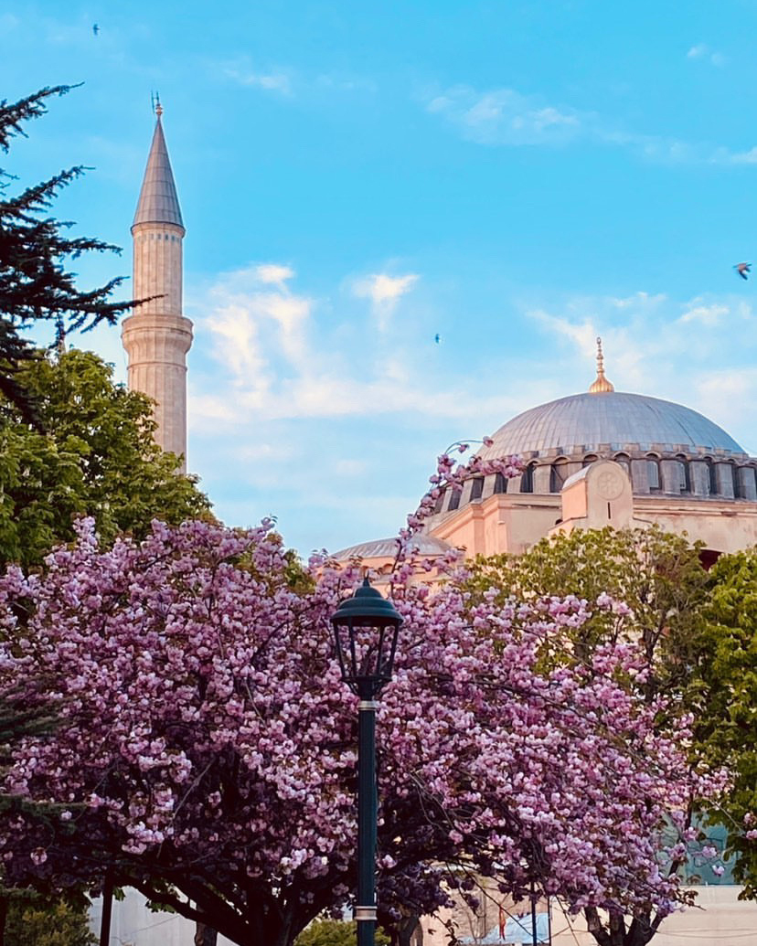 Выходные в Стамбуле! Программа Максимум! Мини-группа до 7 человек! (14/104)