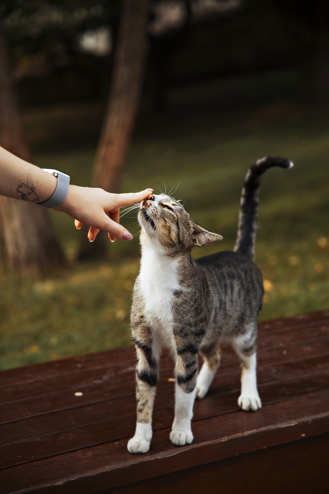 Выходные в Стамбуле! Программа Максимум! Мини-группа до 7 человек! (54/104)
