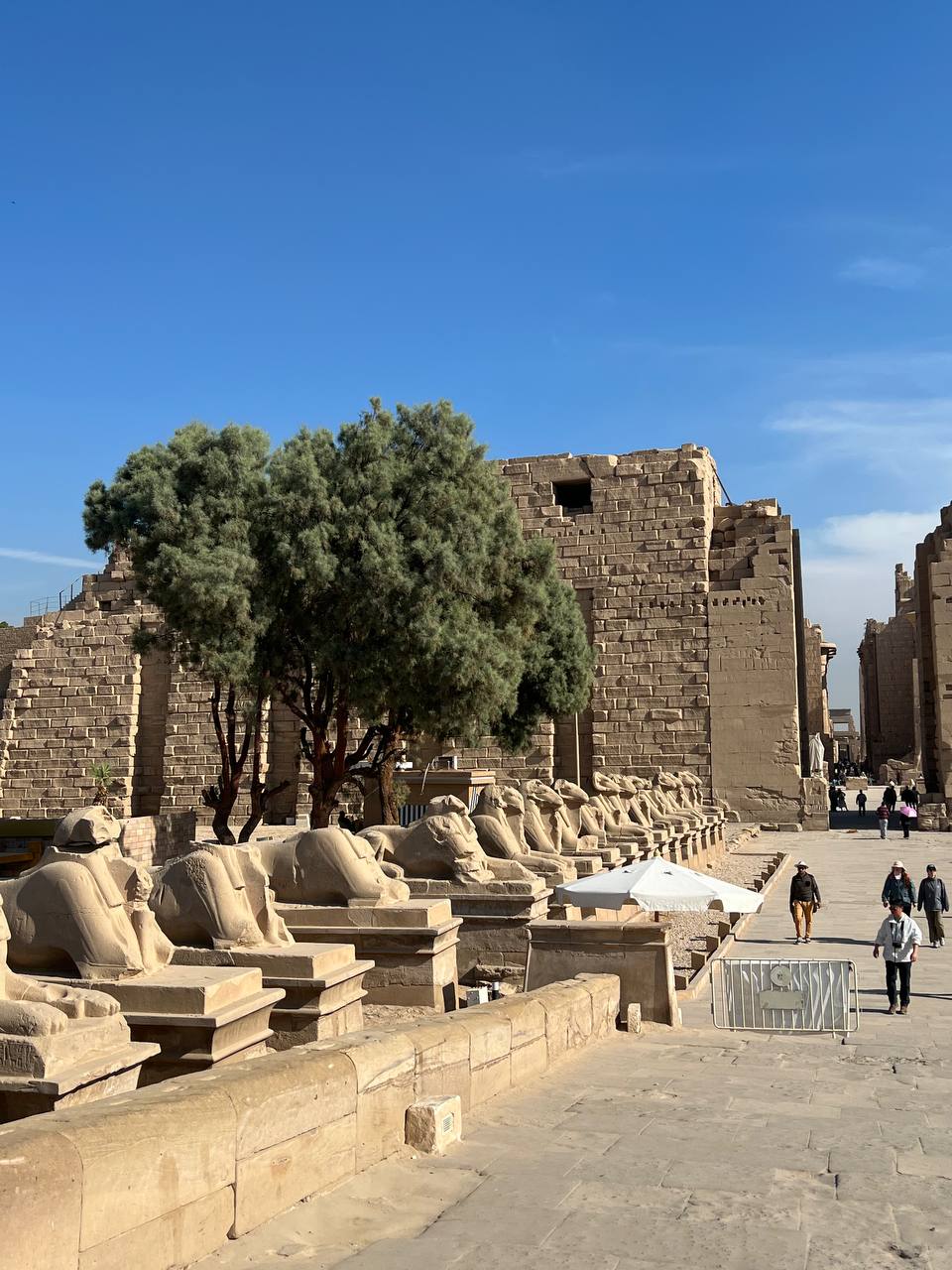 Круиз по Нилу и отдых в Хургаде (25/27)