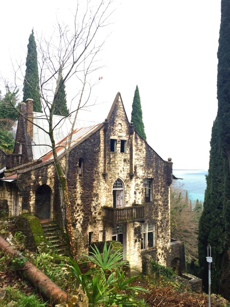 Абхазия с фотографом: мимоза и мандариновые сады! (9/51)