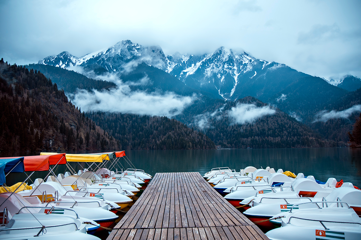 Абхазия с фотографом: мимоза и мандариновые сады! (2/51)