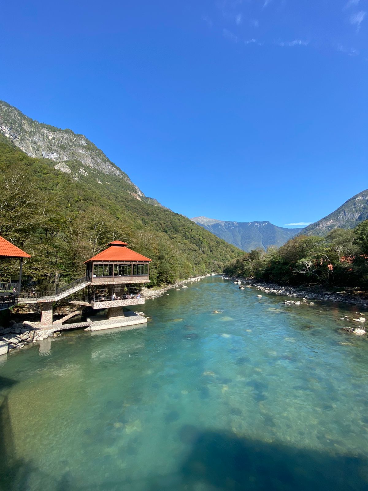 Абхазия с фотографом: мимоза и мандариновые сады! (16/51)