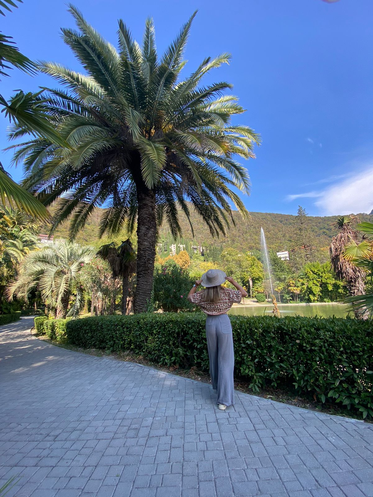 Абхазия с фотографом: мимоза и мандариновые сады! (20/51)