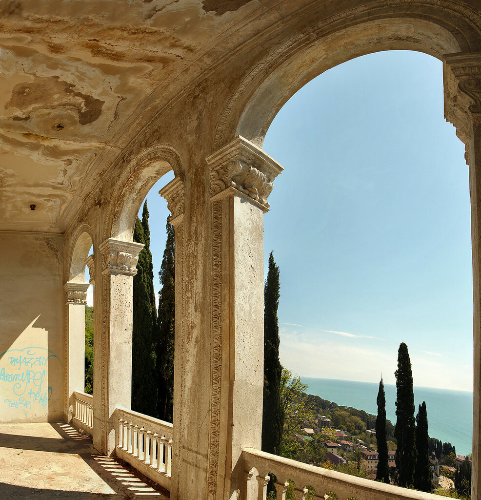 Абхазия с фотографом: мимоза и мандариновые сады! (34/51)