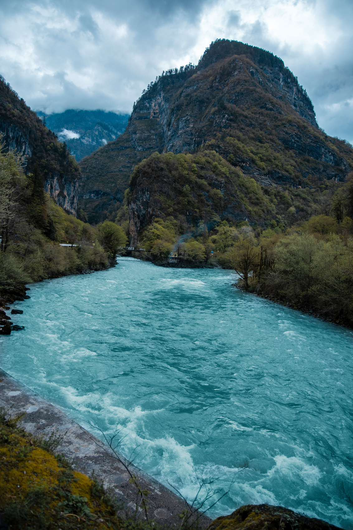 Абхазия с фотографом: мимоза и мандариновые сады! (38/51)