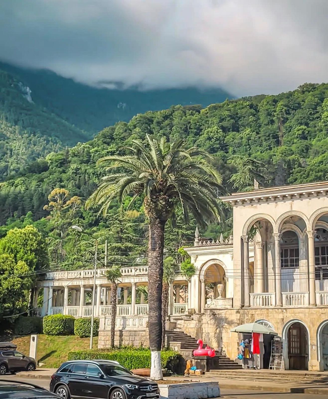 Абхазия с фотографом: мимоза и мандариновые сады! (15/51)