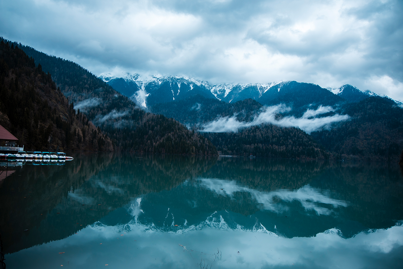 Абхазия с фотографом: мимоза и мандариновые сады! (42/51)