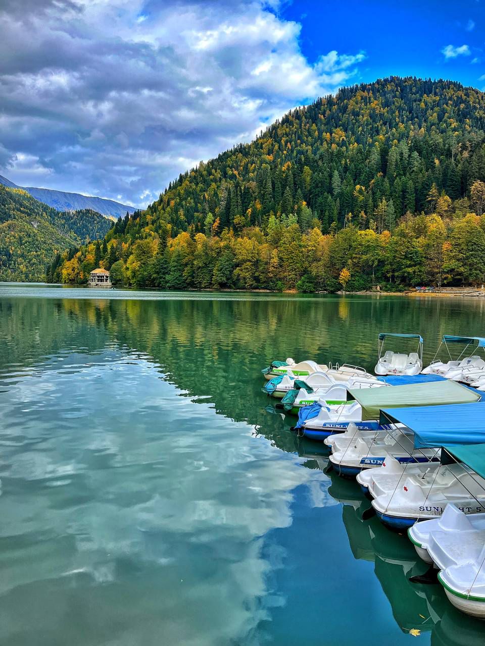 Абхазия с фотографом: мимоза и мандариновые сады! (30/51)