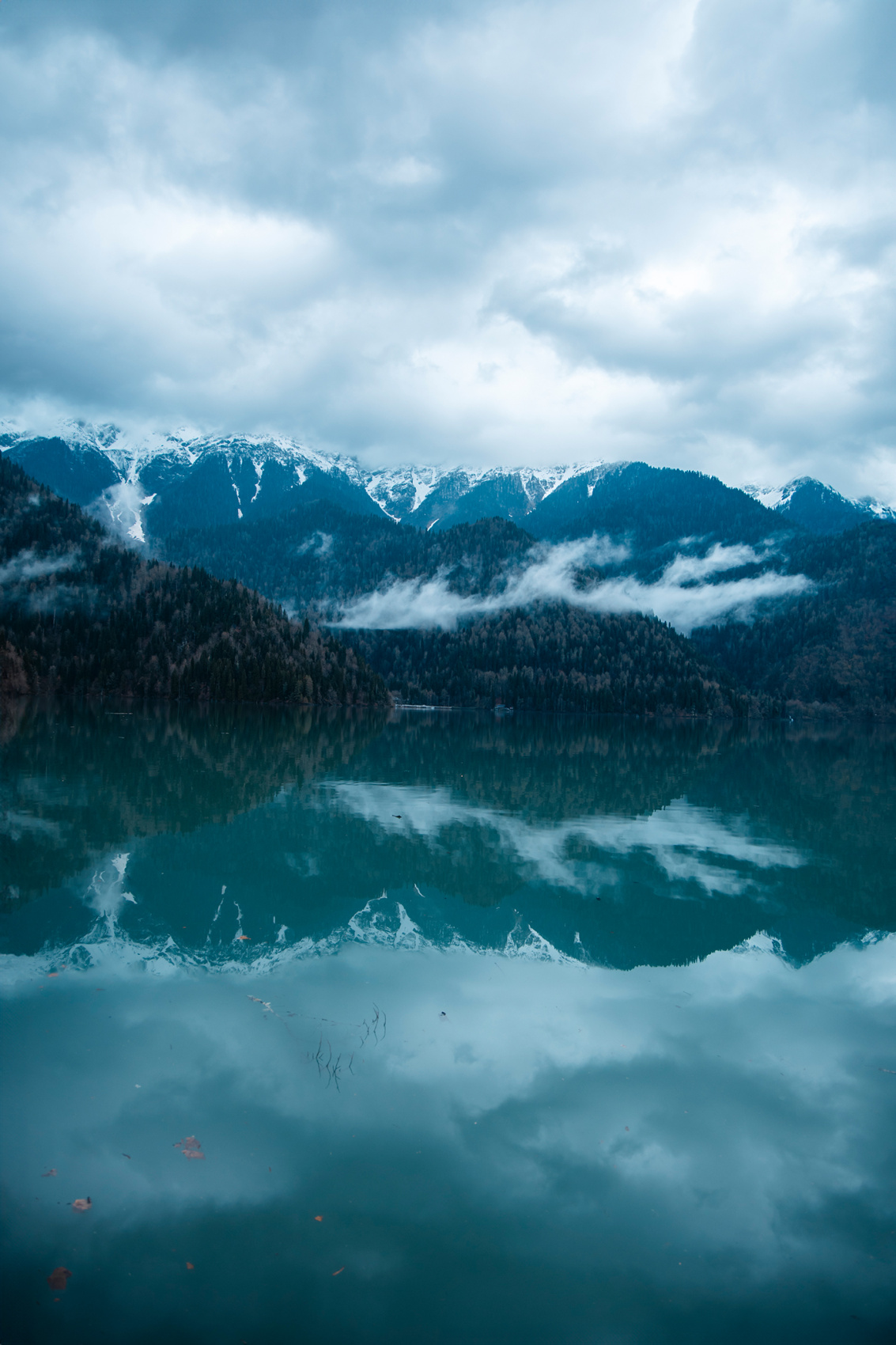 Абхазия с фотографом: мимоза и мандариновые сады! (41/51)