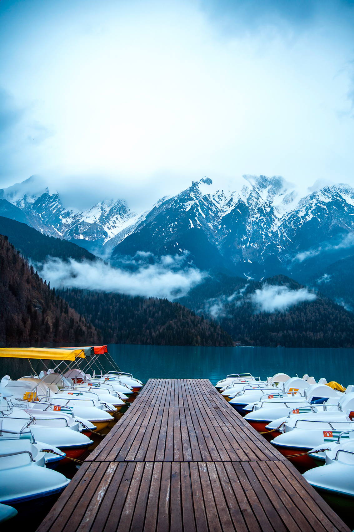 Абхазия с фотографом: мимоза и мандариновые сады! (40/51)