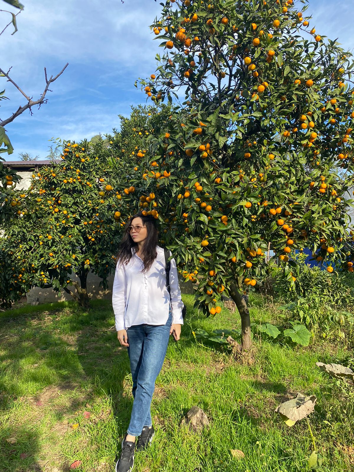 Абхазия с фотографом: мимоза и мандариновые сады! (28/51)