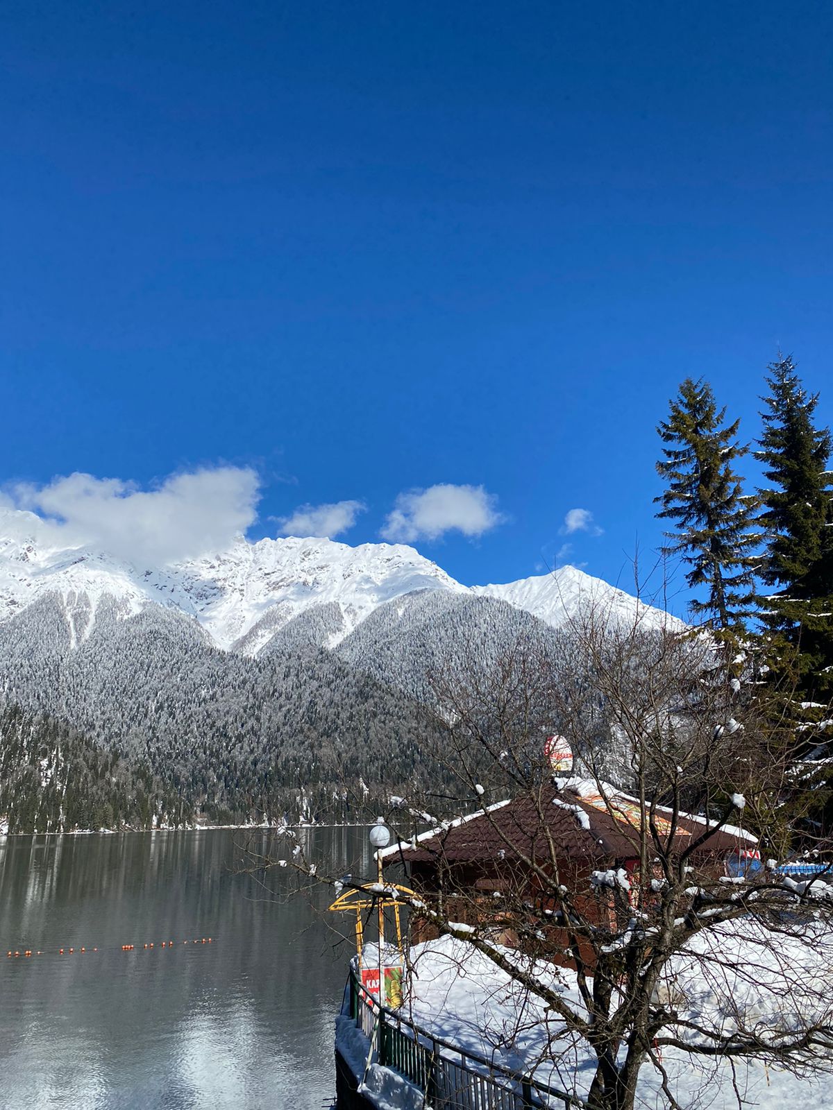 Абхазия с фотографом: мимоза и мандариновые сады! (14/51)