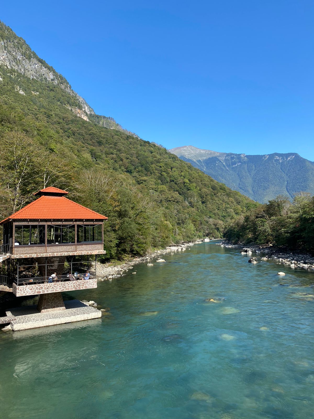 Абхазия с фотографом: мимоза и мандариновые сады! (17/51)