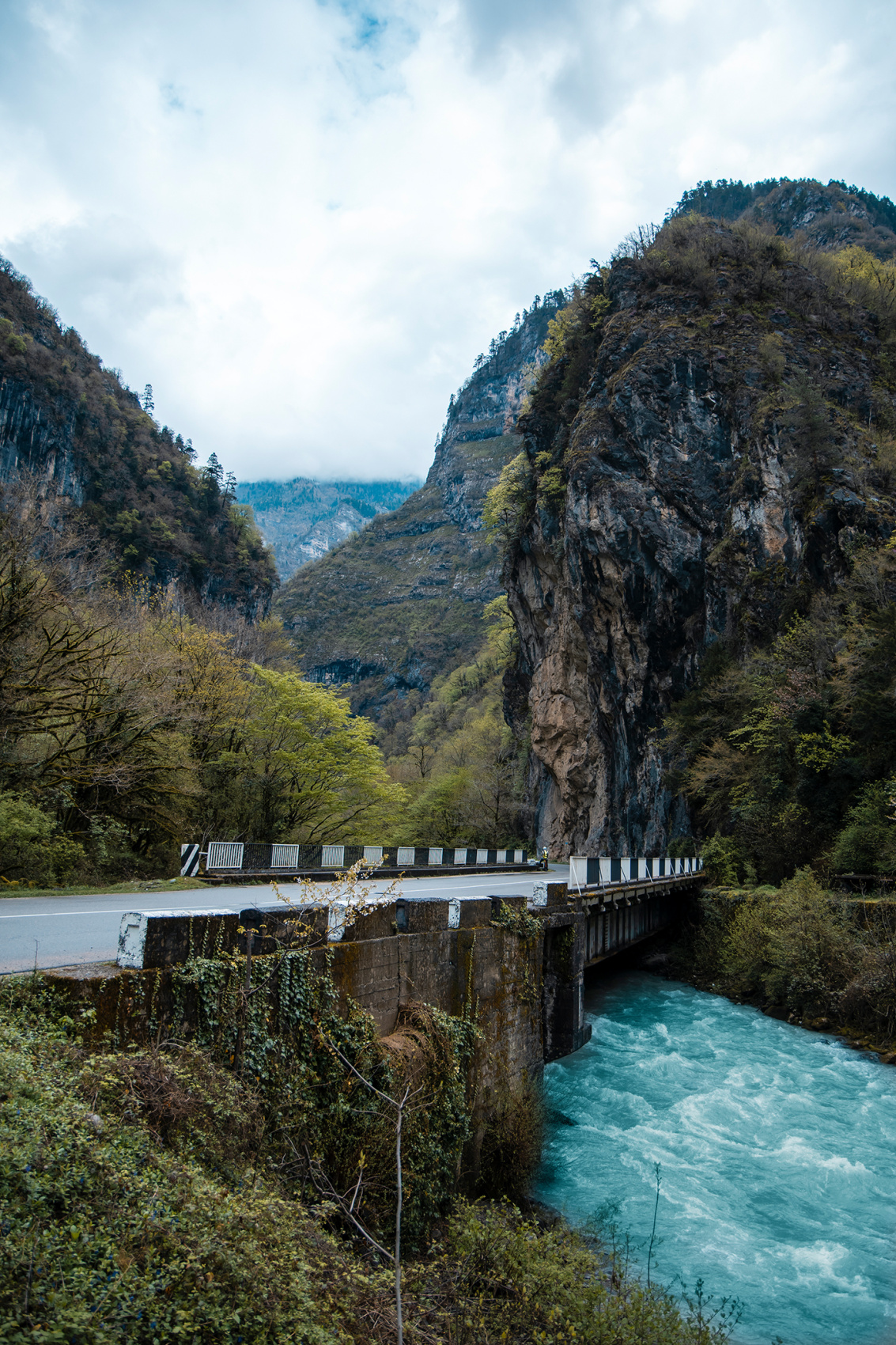 Абхазия с фотографом: мимоза и мандариновые сады! (39/51)