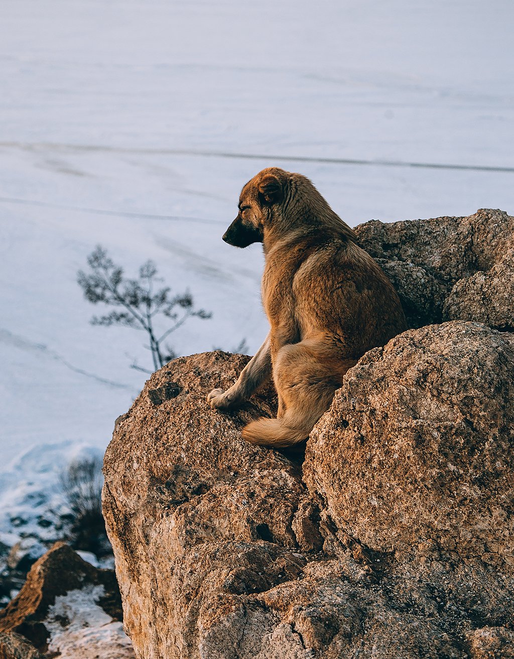 Байкальский драйв (10/30)