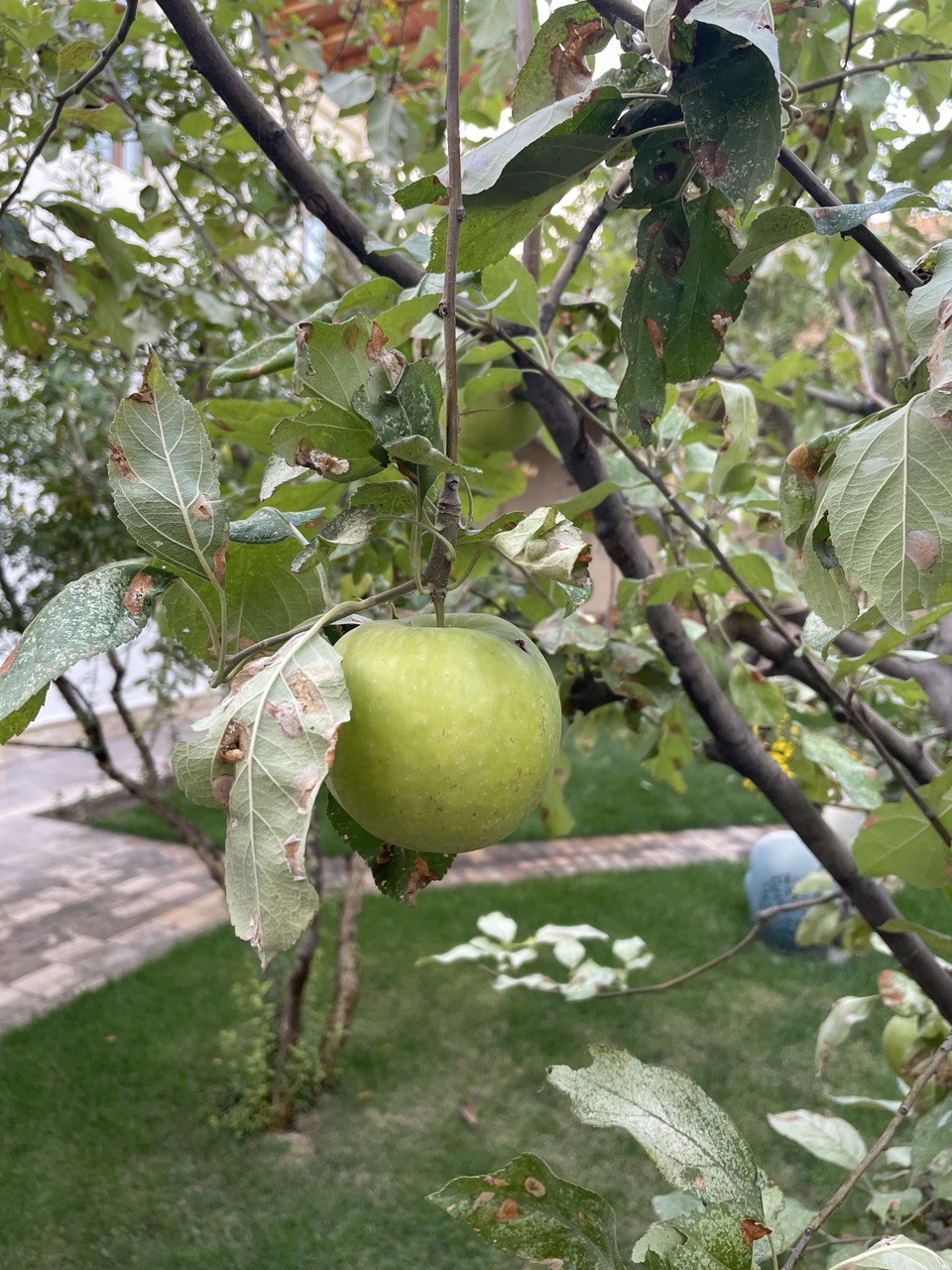 Легенды и мифы Фергана-Ташкент-Самарканд-Бухара (8/29)