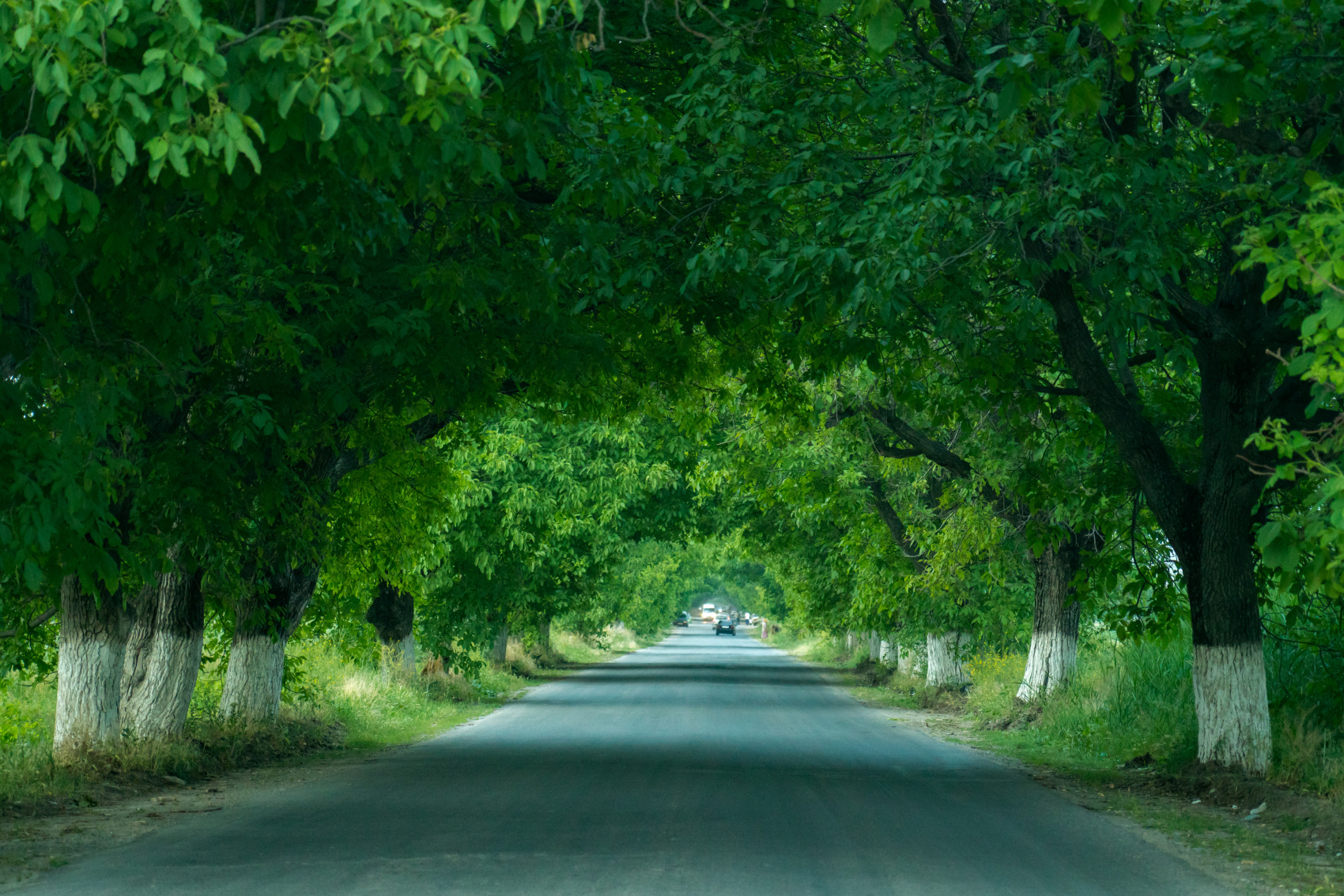 Южная сказка (8/29)