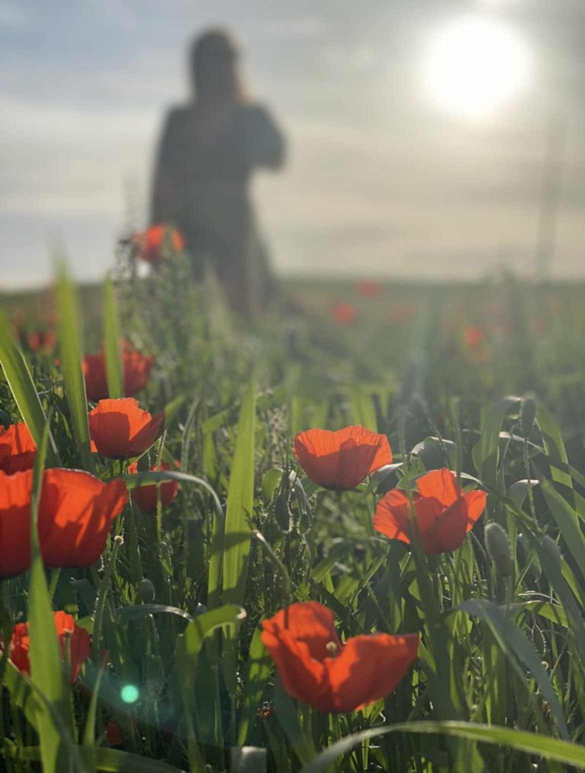 Топ-Weekend на лазурном Иссык Куле: ультра красота и комфорт (14/32)