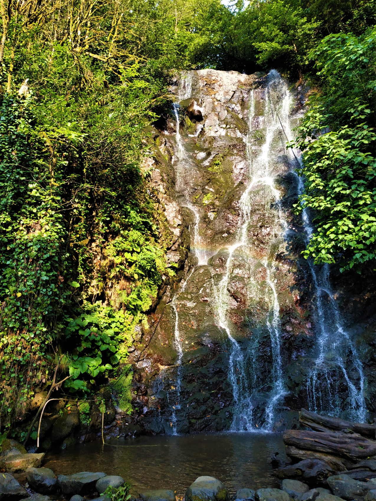 Тур в Батуми на выходные (10/28)