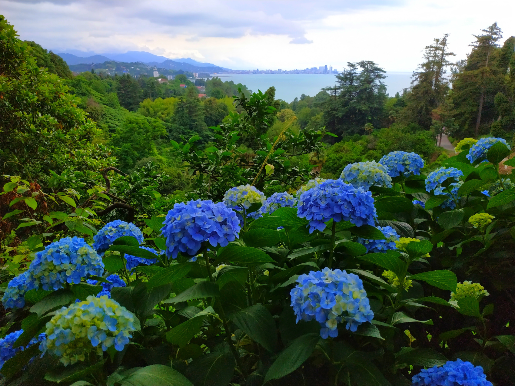 Тур в Батуми на выходные (7/28)