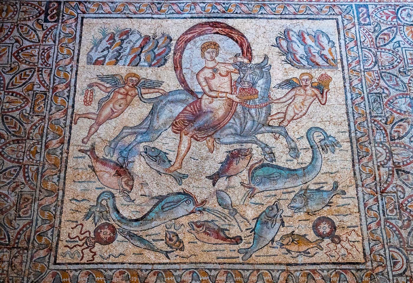 Алжир: Древние города (7/7)