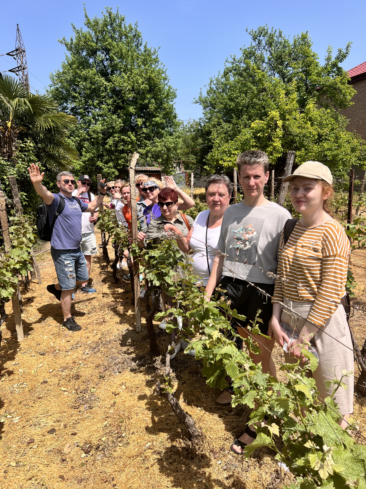 Грузия В гости к виноделам (6/17)