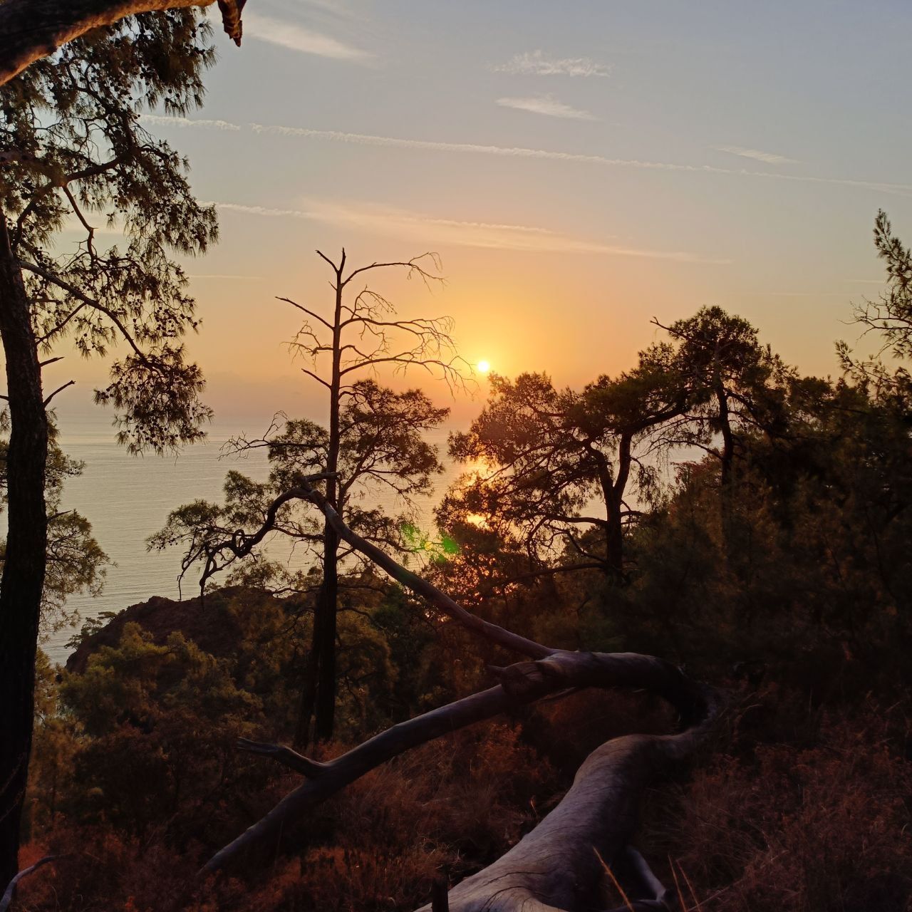 Йога-тур: Энергия пяти стихий