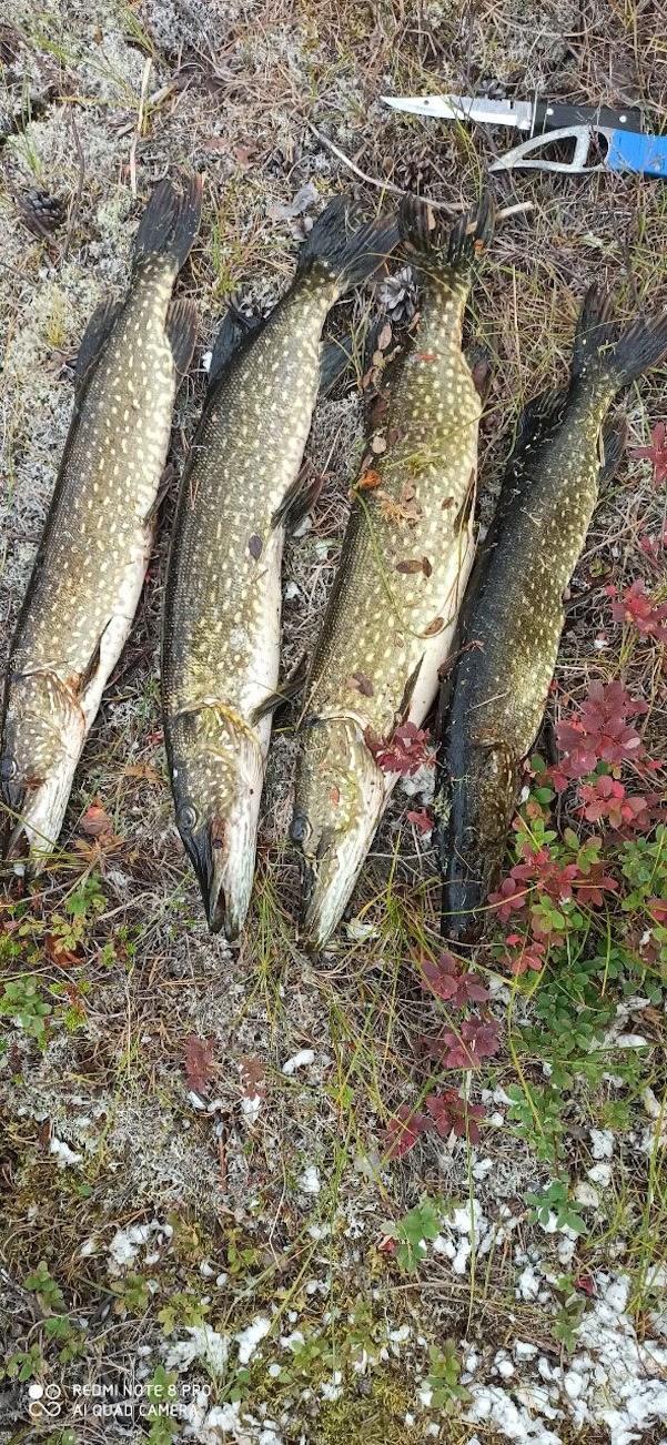 Клёвая Карелия (6/22)