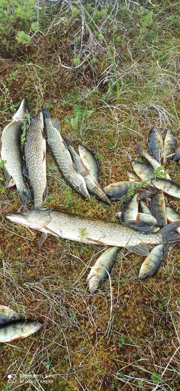 Клёвая Карелия (5/22)