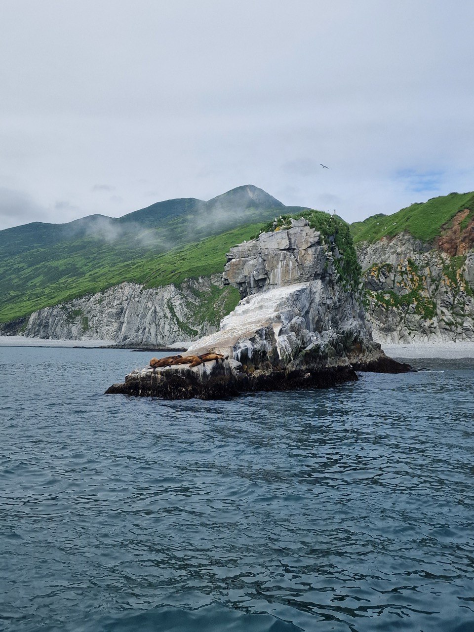 Камчатка. Вулканы, океан, рафтинг, рыбалка, восхождения (32/105)