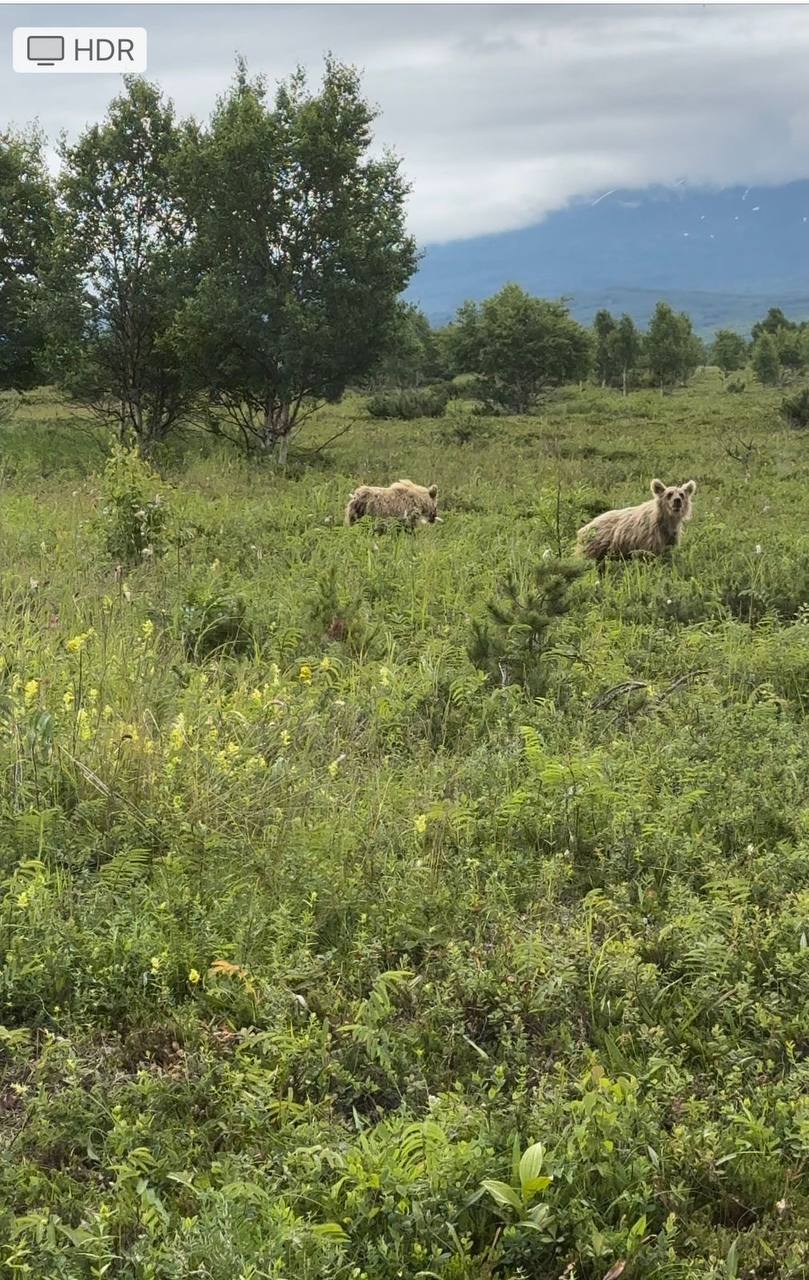 Камчатка. Вулканы, океан, рафтинг, рыбалка, восхождения (59/105)