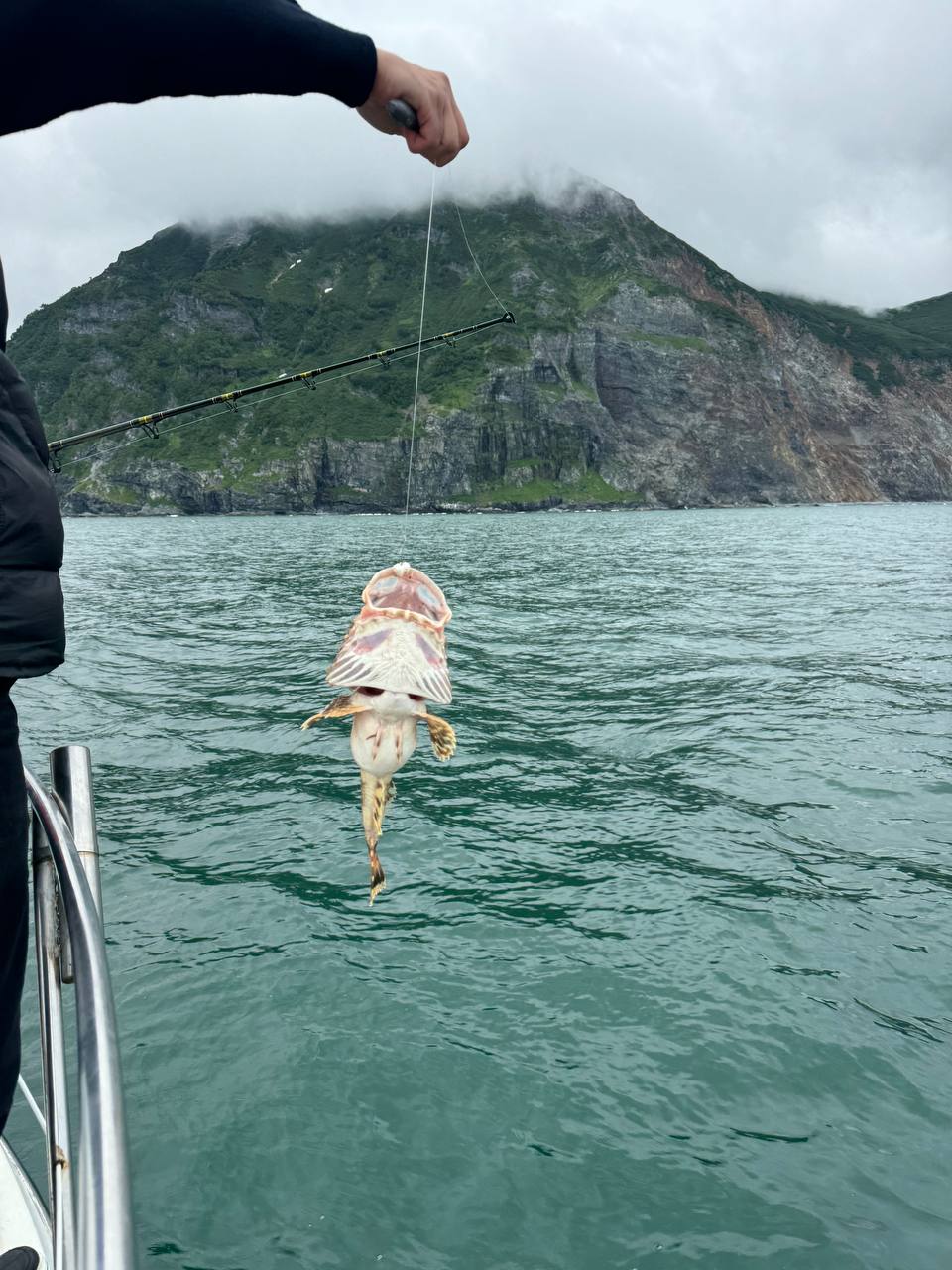 Камчатка. Вулканы, океан, рафтинг, рыбалка, восхождения (24/105)